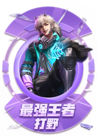 木木解说王者荣耀 了解情况