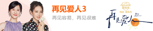 再见爱人3