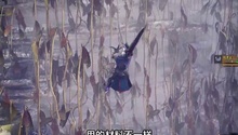 黄金矿工