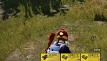 我还是厉害的
