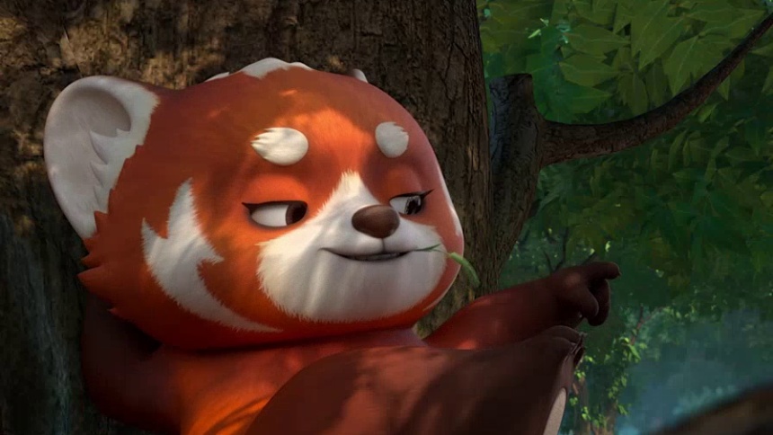 星云成为保姆的一天 照顾鸟宝宝