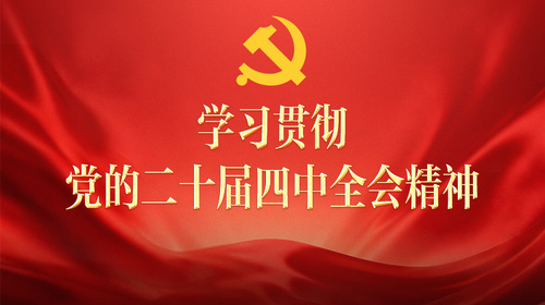 学习贯彻党的二十届四中全会精神