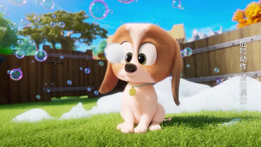 我们一起来制作泡泡 梦幻的一天