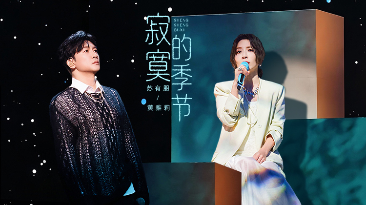 声生不息·华流季