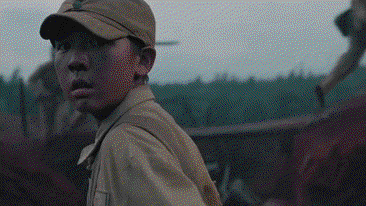 已读未回的百年