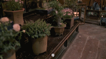 良陈美锦