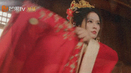 折金枝